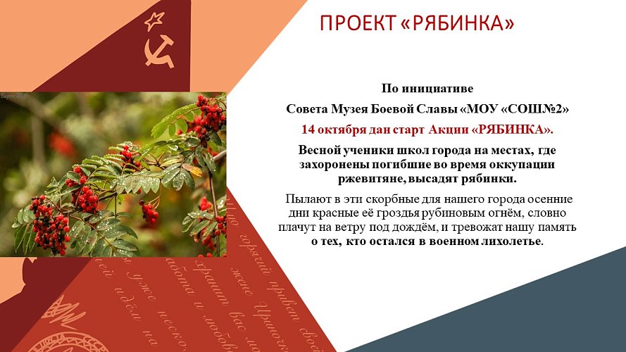 «Боевой пути дивизий, сражавшихся на ржевской земле. Фронтовая печать. Ржев в годы войны. Дети войны. О героях былых времен.»